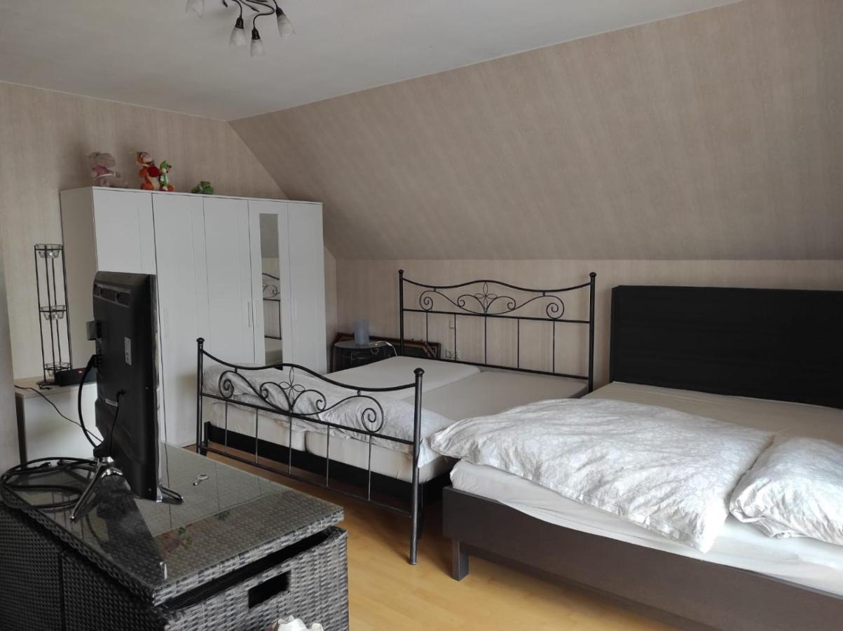 Lui Am See Apartman Losheim Kültér fotó